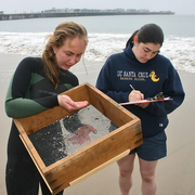 UCSC students examine a sieve on a beach