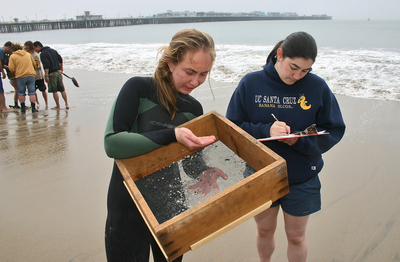 UCSC students examine a sieve on a beach