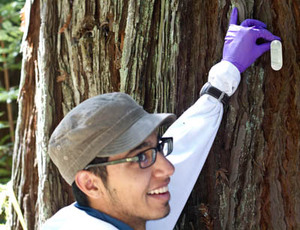 Student tags a tree