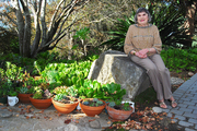 photo Maxine Lane surrounded by succulents she propagates
